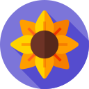 girasol icon