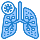 pulmones icon