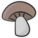 champiñón icon