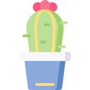 cactus icon