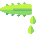 aloe vera icon