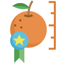 fruta icon