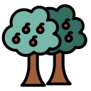 Árbol de frutas icon