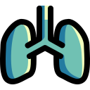 pulmones icon