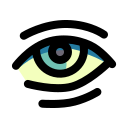 ojo icon