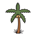 palmera icon