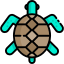 tortuga icon