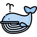 ballena icon