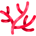 Коралловый 