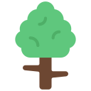 Árbol