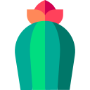 cactus icon