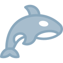 orca icon