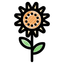 girasol icon