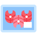 costillas icon