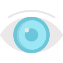 visión icon