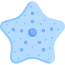 estrella de mar 