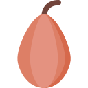 cacao icon