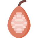 cacao icon