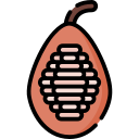 cacao icon