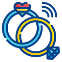 anillo icon