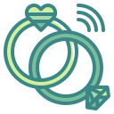 anillo icon