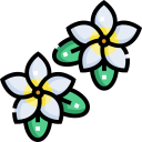 frangipani icon