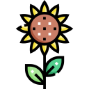 girasol icon