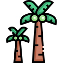 Árbol de coco icon