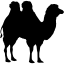 forma de camelo 
