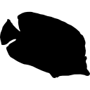 Bannerfish silhouette icon