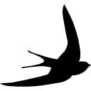 forma de pájaro veloz icon