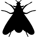 Форма насекомого моль 