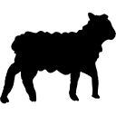 mouton icon