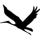 forma de vuelo de pájaro icon