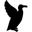 forme d'oiseau pingouin Icône
