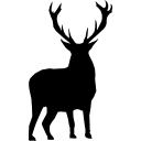cerf, silhouette icon