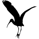 forma de cigüeña pájaro icon