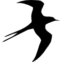 Swallow bird flying silhouette 