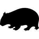 forma de wombat 