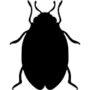 forme de punaise de lit d'insecte icon
