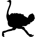 forme d'oiseau d'autruche en cours d'exécution icon