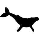 forme de baleine à bosse icon