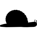 Snail shape icon
