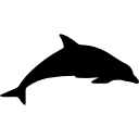 Дельфин млекопитающее животное силуэт 
