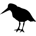 austernfischer vogel der küsten silhouette 