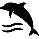Дельфин на водных волнах 