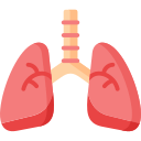 pulmones icon