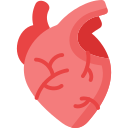 corazón 