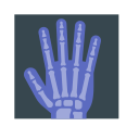X ray 