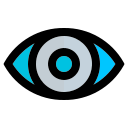 ojo icon